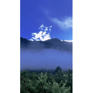 旅行风景3186