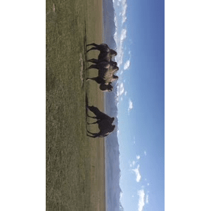 旅行风景3208