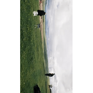 旅行风景3236