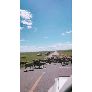 旅行风景3248