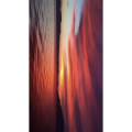 旅行风景3265