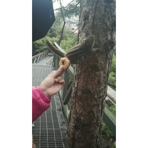 旅行风景3271