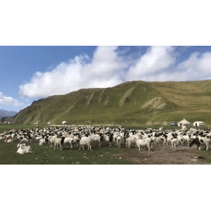旅行风景3276