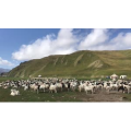 旅行风景3276