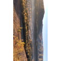 旅行风景3282