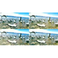 旅行风景3293