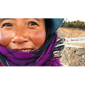 旅行风景3311