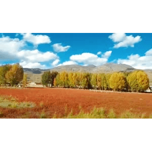 旅行风景3312