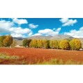 旅行风景3312