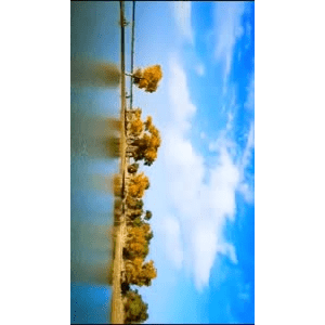旅行风景3315