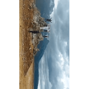 旅行风景3336