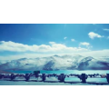 旅行风景3343