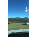 旅行风景3366
