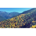 旅行风景3372