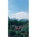 旅行风景3373