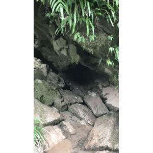 旅行风景3391