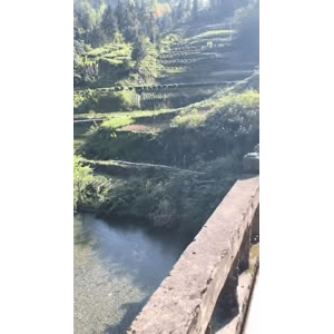 旅行风景3429