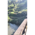 旅行风景3429