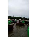 旅行风景3433