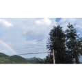 旅行风景3444