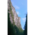 旅行风景3463
