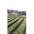 旅行风景3469