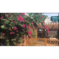 旅行风景3485