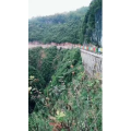 旅行风景3497