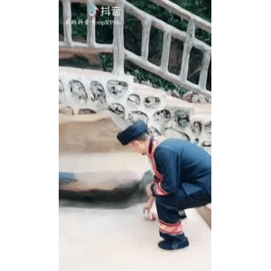 旅行风景3522