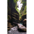 旅行风景3531