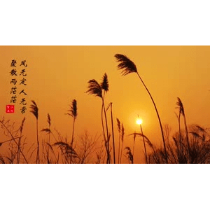 旅行风景3532