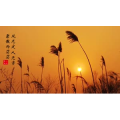 旅行风景3532