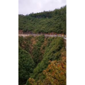 旅行风景3537