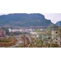 旅行风景3538