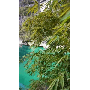 旅行风景3560