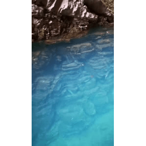 旅行风景3578