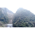 旅行风景3596