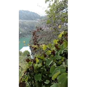 旅行风景3615