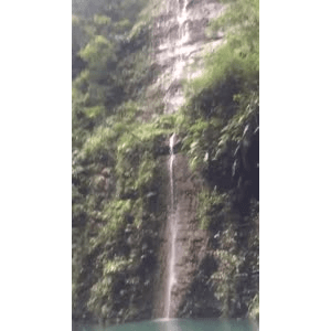 旅行风景3629