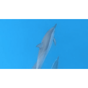 旅行风景3633