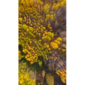 旅行风景3685