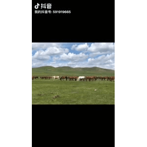 旅行风景3697
