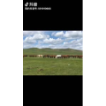 旅行风景3697