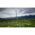 旅行风景3700