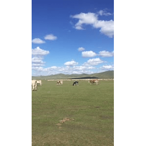 旅行风景3701
