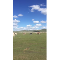 旅行风景3701