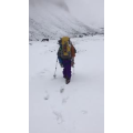 旅行风景3702