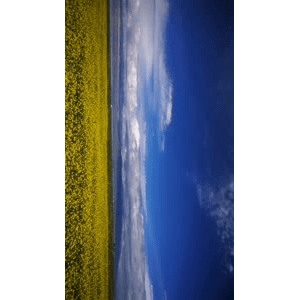 旅行风景3718