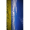 旅行风景3718