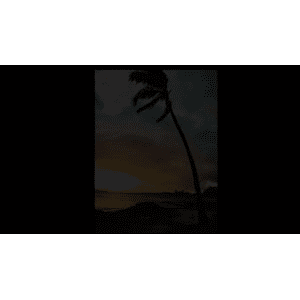 旅行风景3719